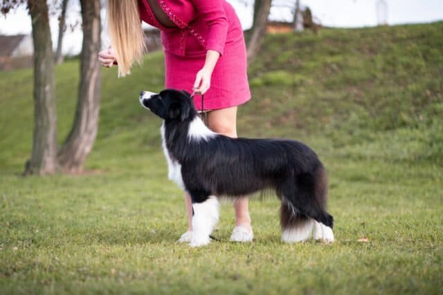 Huntly Taste The Rainbow - Maeve 1 year old