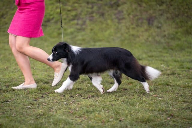 Huntly Taste The Rainbow - Maeve 1 year old