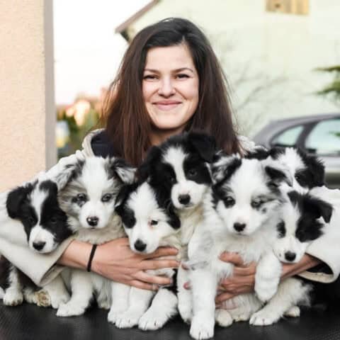 Karolina with many puppies